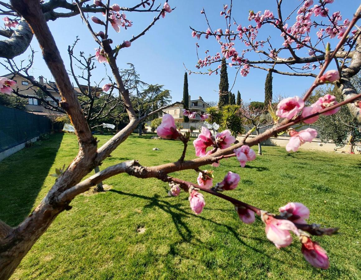 Itaca Villa Lido di Fermo Dış mekan fotoğraf